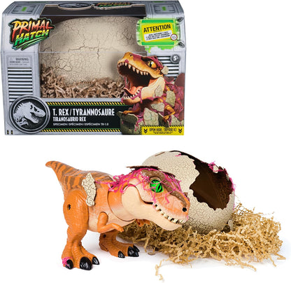 Primal Hatch Jurassic World Dino Eclosion Secrète - Oeuf De Dinosaure À Faire Éclore